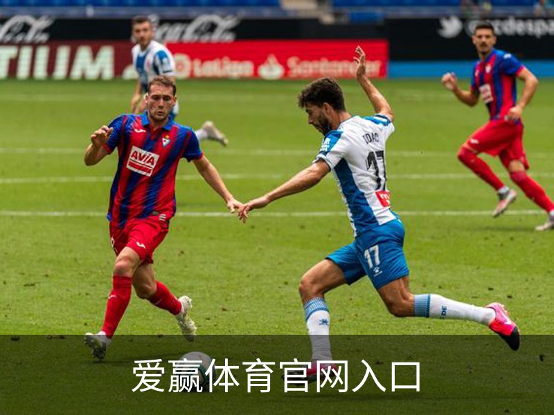 爱赢体育官网入口概况